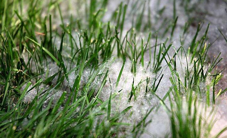 冬季將至，如何除去人造草皮中的冰雪？鉆石地為您支招